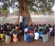 Students under Tree